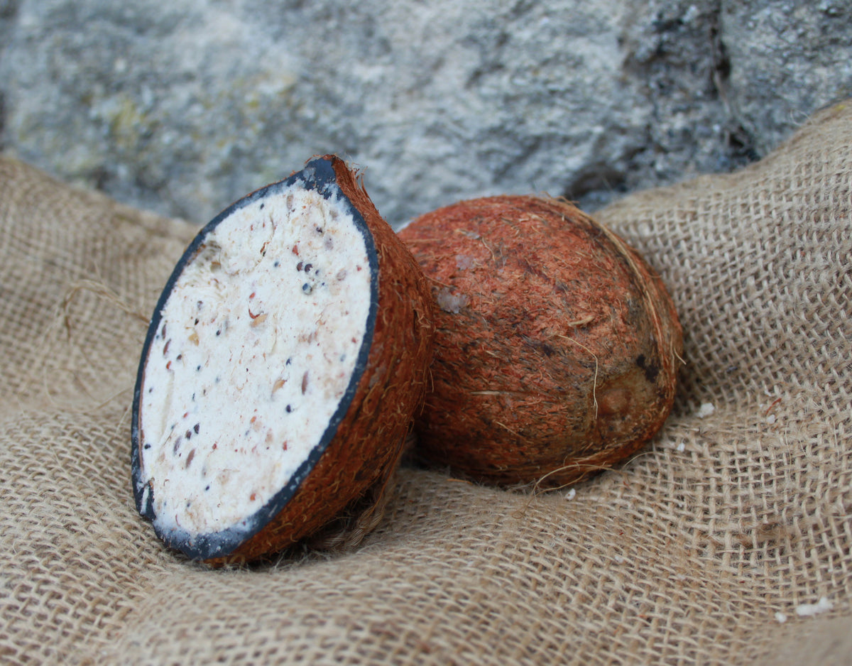 Half Coconut for Birds Packed with Cereal, Seeds & Suet WELL FED BIRDS