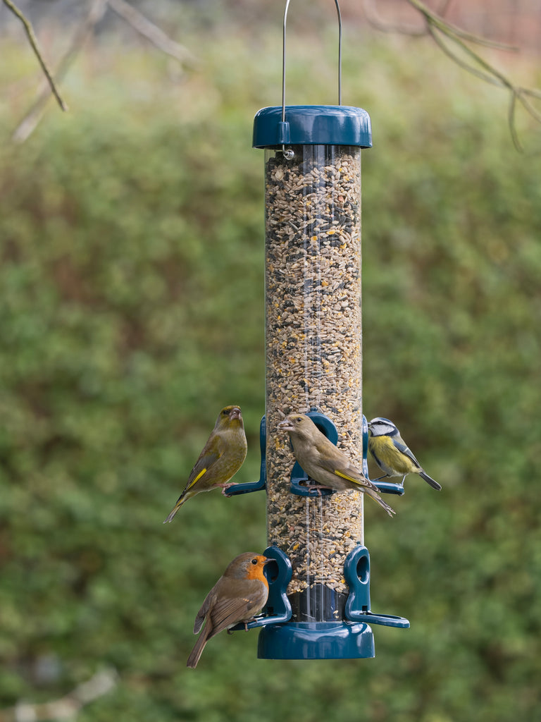 Robins, Tits and Finches feeding from a 6 Port Flo Festival Bird Feeder