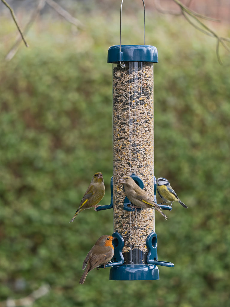 Flo Finch Wild Bird Feeders - For Garden Birds - Buy Online – WELL FED BIRDS
