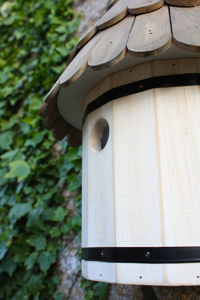 Side Profile detail of the Nest Box