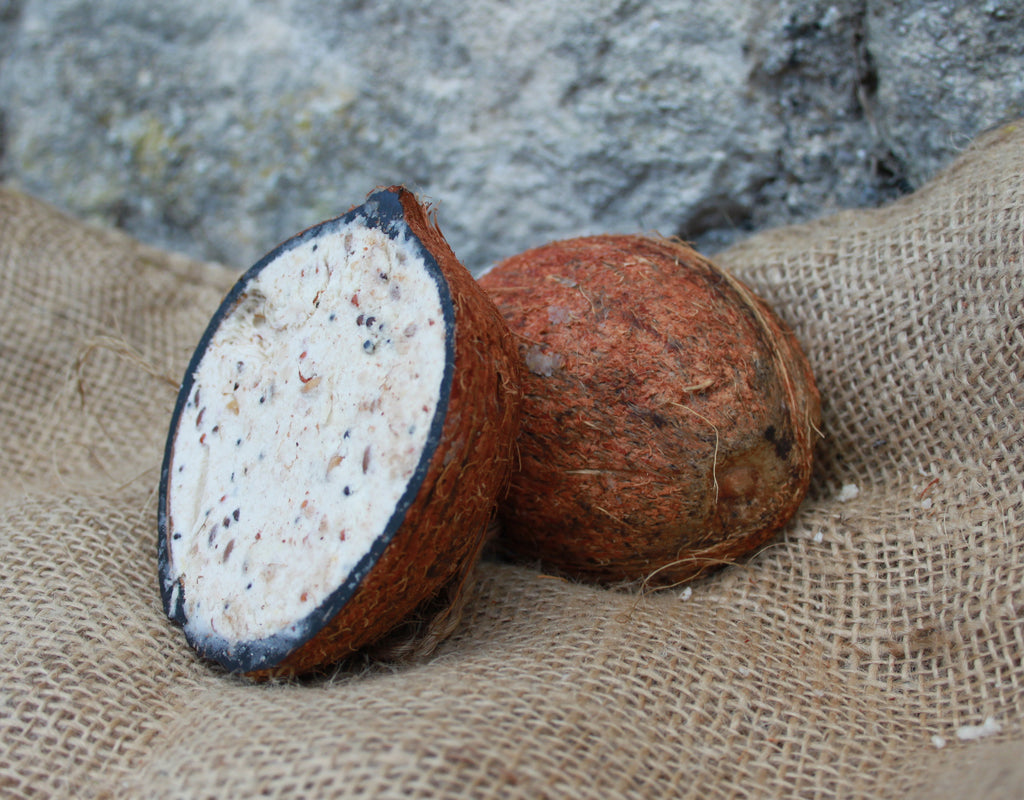 Half Coconut for Wild Birds - Packed with Cereal, Seeds and Suet