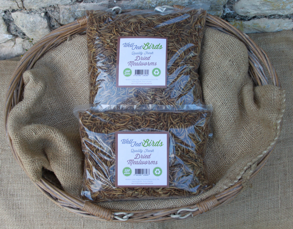 Quality Fresh Mealworms in Well Fed Birds Packaging