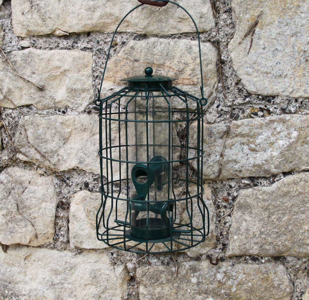 Caged Bird Seed Feeders for Small Birds